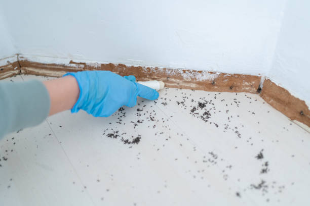 Trusted Moa, UT Pest Control Experts