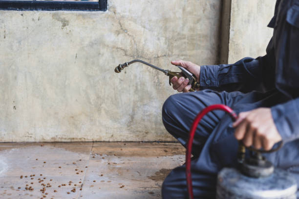 Best Residential Pest Control  in Moa, UT