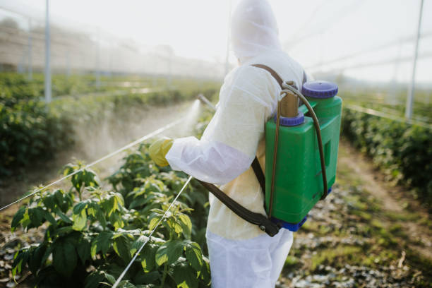 Best Wasp Removal Services  in Moa, UT